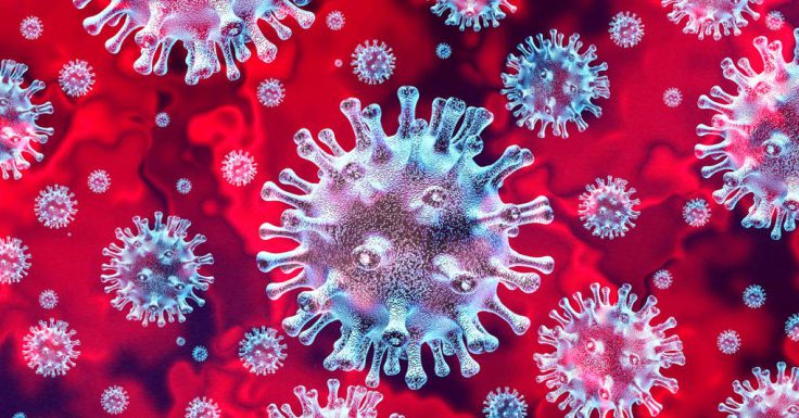 coronavirus: immagine al microscopio